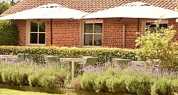 Zuid-gelegen terras