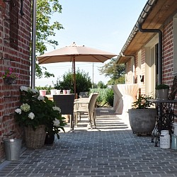 Terras